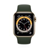 Apple WATCH Series 6 40mm GPS+Cellular Edelstahlgehäuse Gold Sportarmband Grün